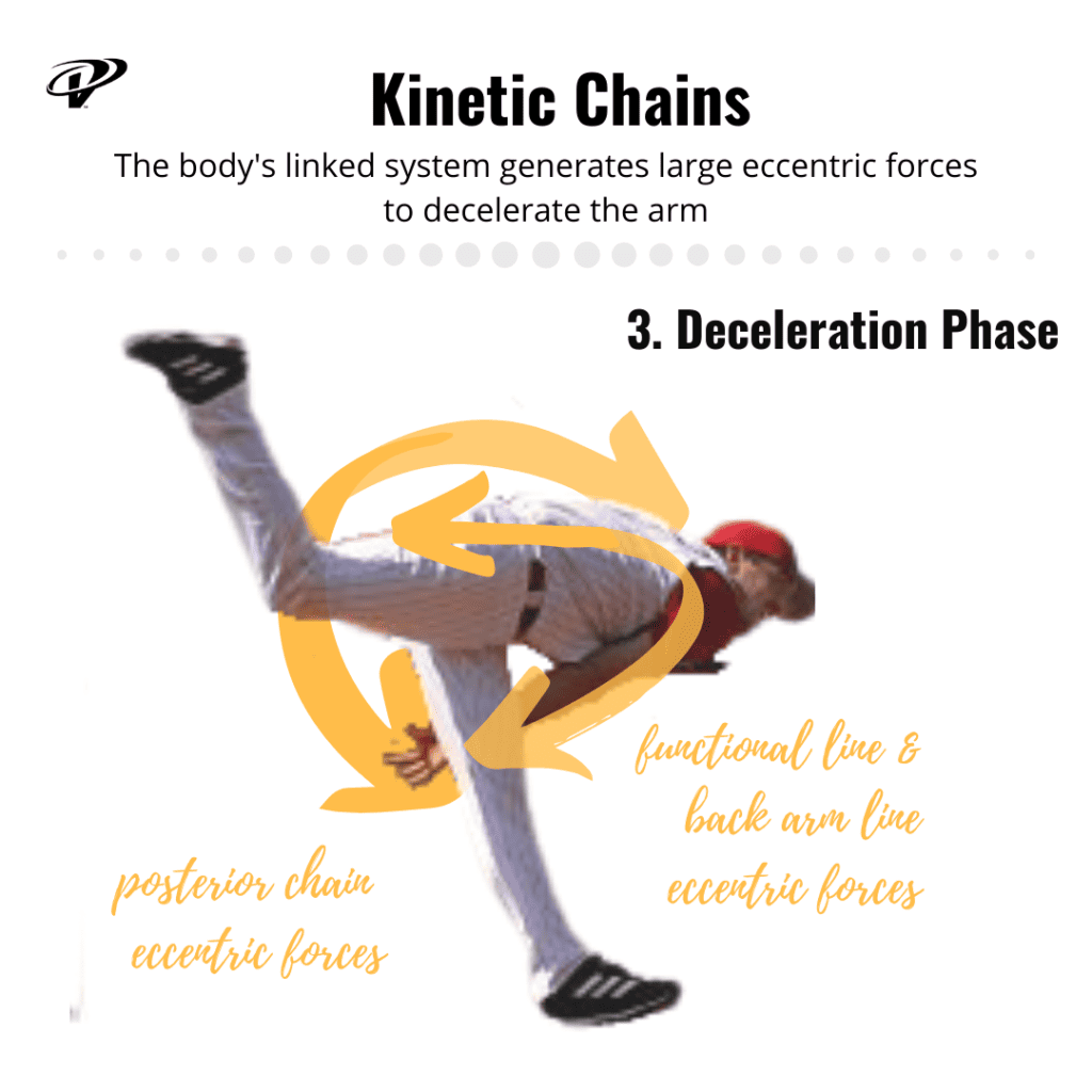 Myofascial lines in deceleration
