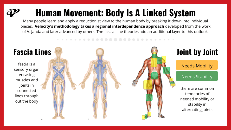 Kinetic chains in overhead sports